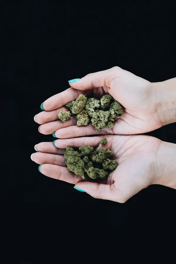 cannabis gegen depressionen symptome