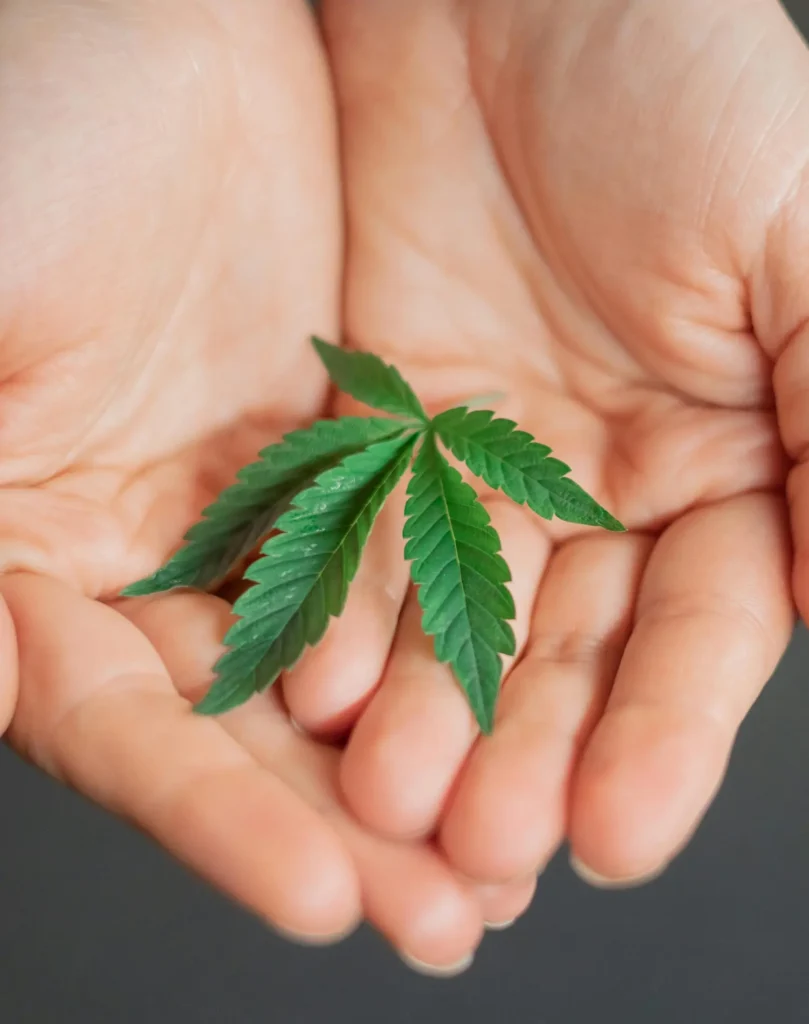 cannabis kostenübernahme