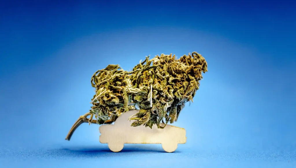 cannabis und autofahren erlaubt