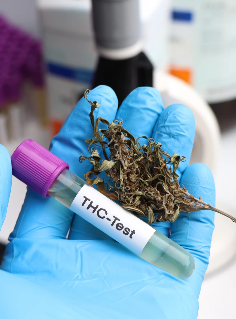 wo-darf-man-cannabis-konsumieren